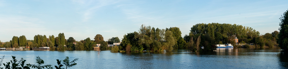 Rive gauche de la Seine